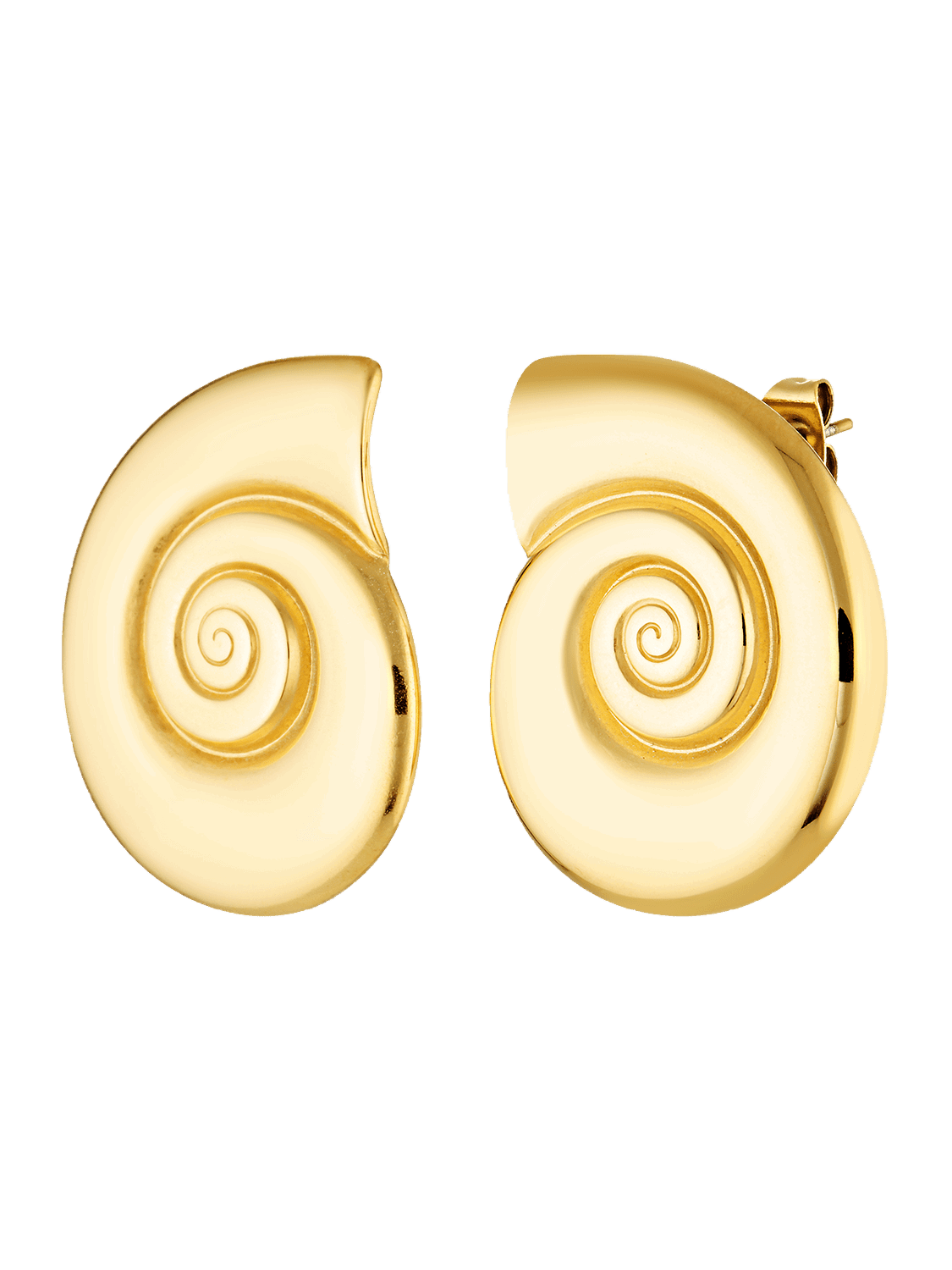 Gold Shell shaped stud earrings 